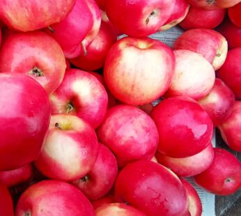 Jabłka IDARED – soczyste