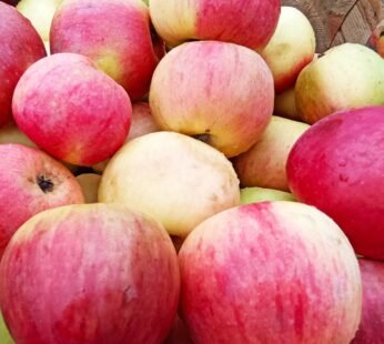Jabłka CORTLAND – słodkie miekkie