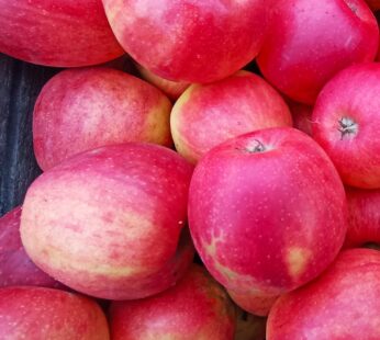 Jabłka JONAGOLD – gruszkowe